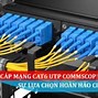 Dây Mạng Cat5E Và Cat6