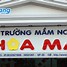 Hiệu Trưởng Trường Mầm Non Là Công Chức Hay Viên Chức Mới Nhất