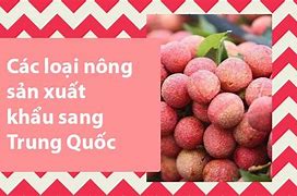 Thuế Xuất Khẩu Mặt Hàng Nông Sản Sang Trung Quốc