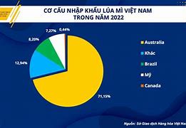 Việt Nam Có Nhập Khẩu Muối Không