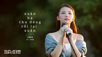 Xuân Hạ Thu Đông Rồi Lại Xuân Karaoke Amee