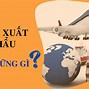 Xuất Nhập Khẩu Nên Học Ngành Nào